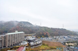 西広島駅 バス12分  広電バス・田方が丘団地下車：停歩3分 15階の物件内観写真